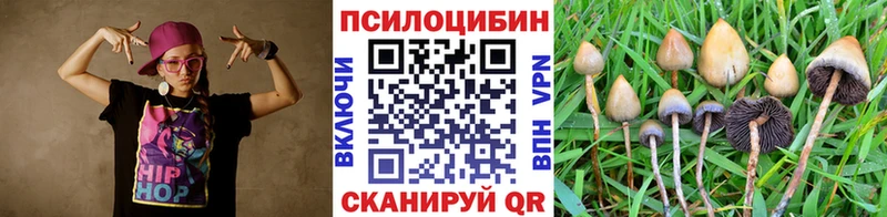 Галлюциногенные грибы мицелий  как найти закладки  Оренбург 